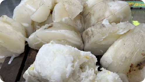 Rectangle (1).39966ec7